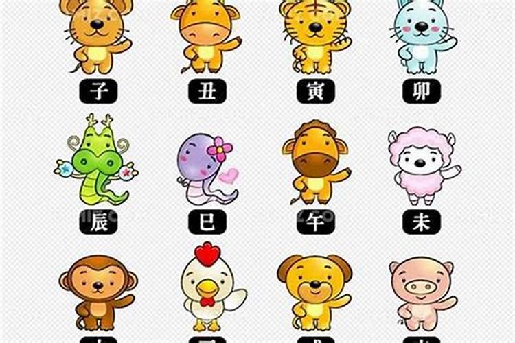 十二生肖凶肖揭秘，神秘文化符号下的解读