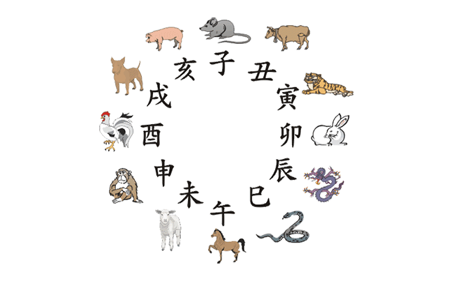 双胞胎生肖奇缘，揭秘生肖与双胞胎的神秘关联，解读生肖双胞胎的特质与缘分