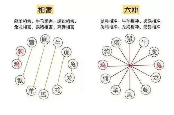 生辰八字与生肖冲突解析，揭秘八字冲生肖的奥秘