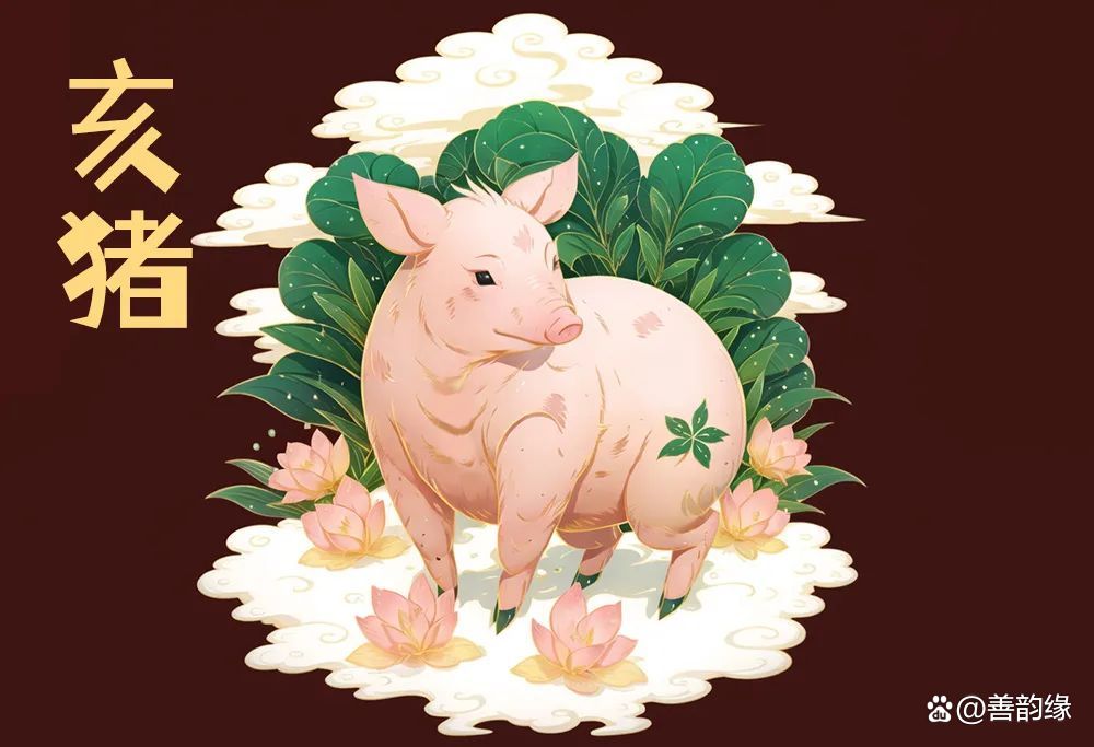 生肖猪的幸福世界，衣食无忧的生活探寻