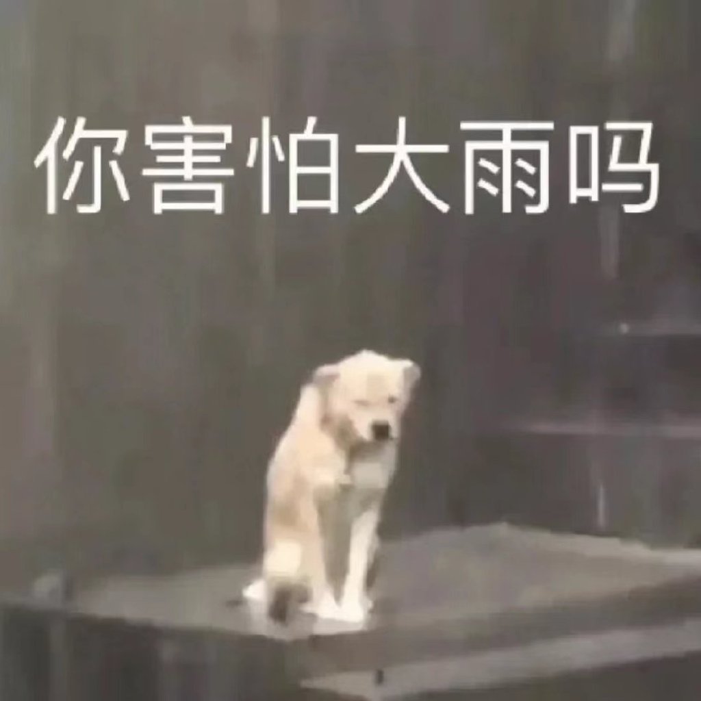 萌大雨星座揭秘，探索星座之谜的旅程