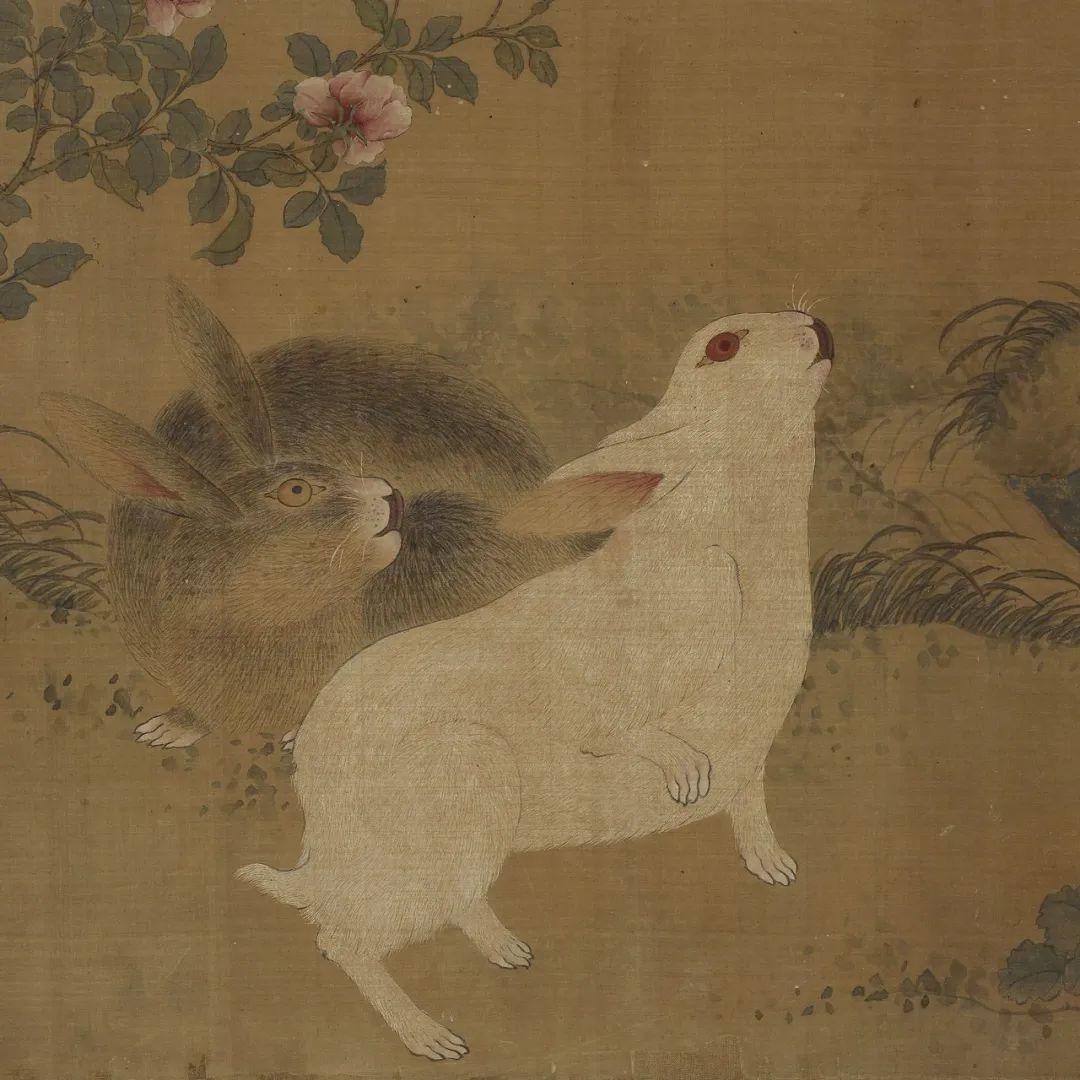 呼风唤雨的动物与生肖的神秘关联，揭秘生肖中的风云动物身份