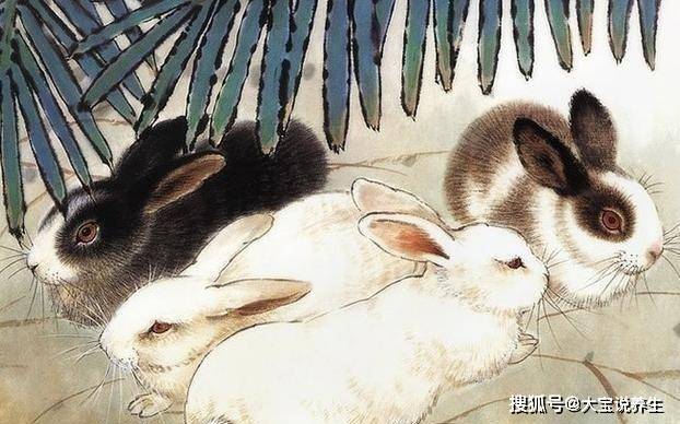 缘分天定，一生相伴的生肖见证——相识到老