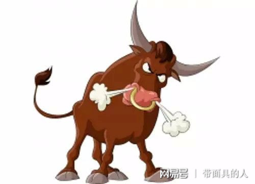 吹牛与生肖文化，揭秘背后的奥秘与生肖标识