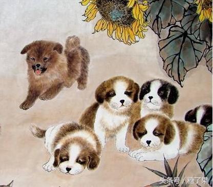 揭秘生肖文化，探寻哪些生肖遵循规矩与秩序之美