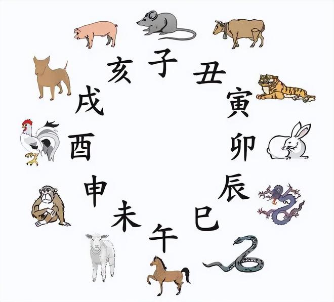揭秘生肖文化中的独特魅力，不可一世的生肖探寻