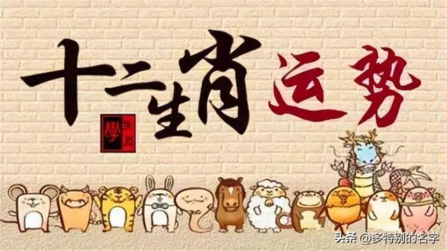 生肖运势揭示，洞悉未来走向，把握人生起伏大解析