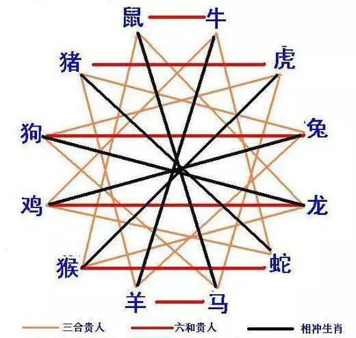 透视一八探生肖奥秘，揭秘神秘面纱下的生肖之谜