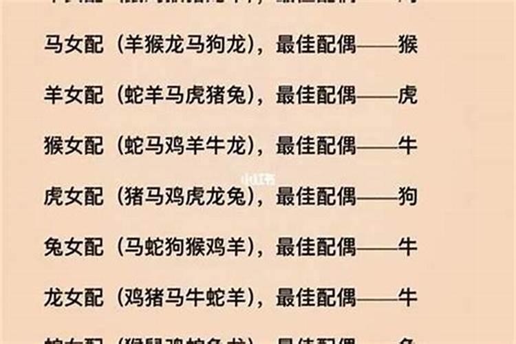 四大美女与生肖的神秘缘分，揭秘美女生肖之谜