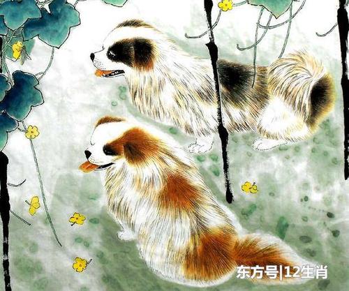 探寻能文能武的神秘生肖，探寻生肖中的文武双全之力