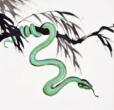 柳暗花明，探寻生肖神秘力量之生肖揭秘——柳暗花明生肖探秘