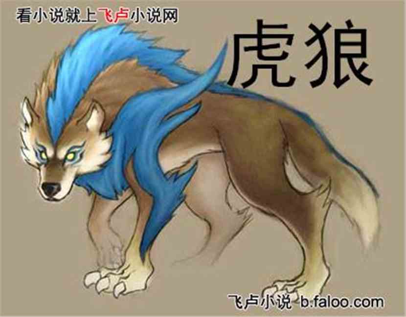 狼奔鼠突与十二生肖的奥秘探究，狼奔何突，揭秘十二生肖之谜