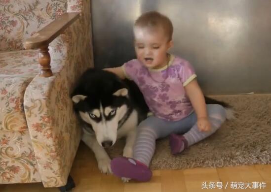 神经大条不怕事生肖，探寻生肖坚韧乐观的个性魅力