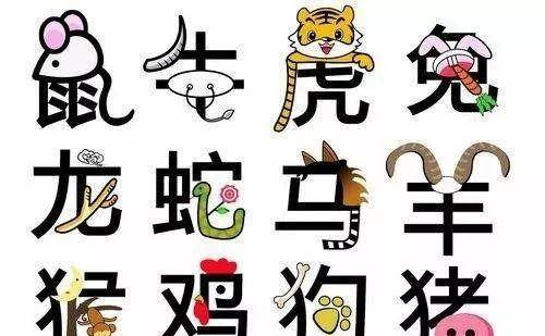 生肖不合如何解决？探寻有效应对之道