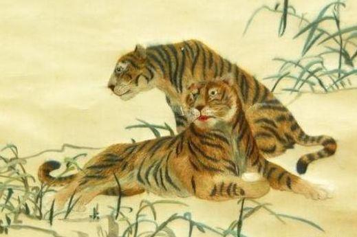 最孝顺父母的三大生肖，羊、虎、牛 排行揭秘