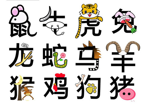 右手与生肖数字的神秘联系，探寻右手对应的生肖数字之谜