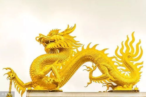 揭秘生肖蛇的神秘绿色眼神，蛇目之光的独特魅力