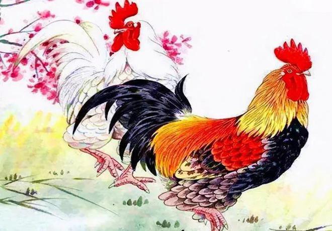 揭秘2024年属鸡人的运势走向，机遇与挑战并存