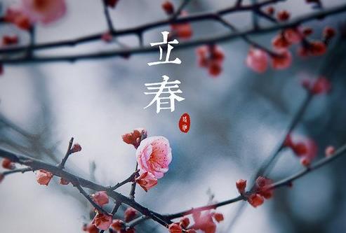 立春子时生辰八字揭秘命运之门