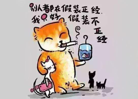 美元资产 第5页