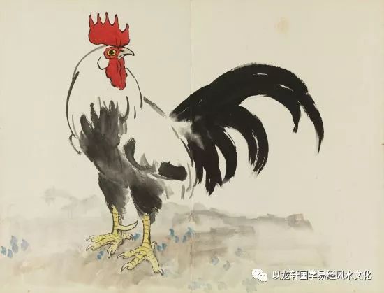 2023年属鸡人的生肖运势展望，揭秘属鸡人在2023年的运势走向