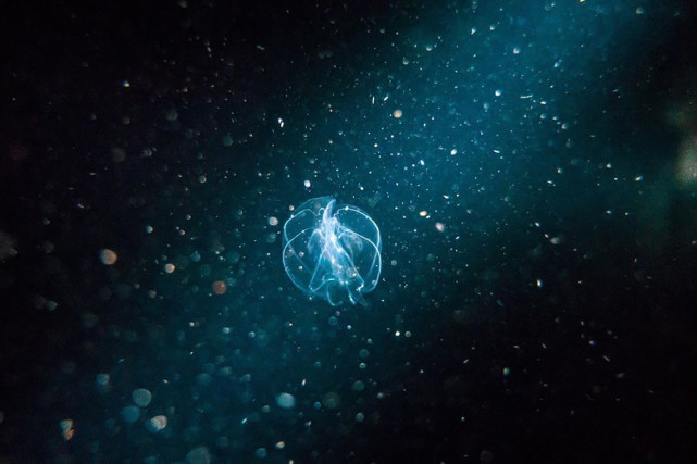 海底星空星座排名揭秘，神秘海洋与星空的交汇点探索
