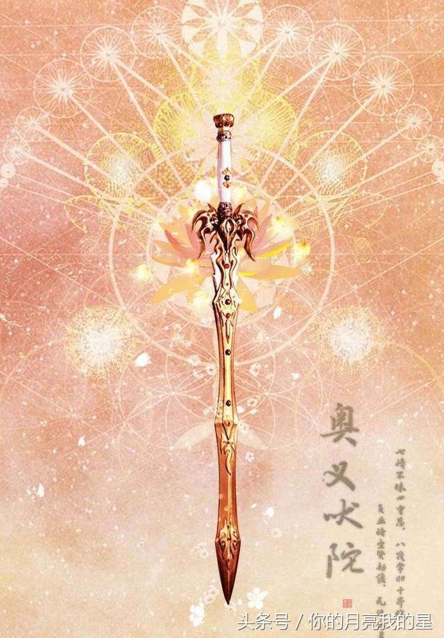 竹与星座的奇妙奇缘，谈竹的星座揭秘