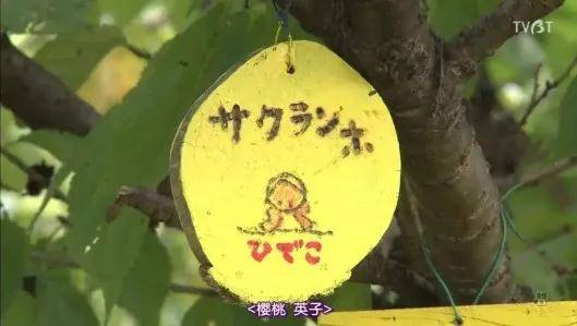 星座文化深度解析，星座与人生轨迹的微妙联系