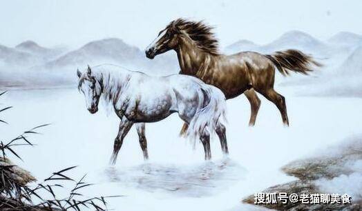 生肖马的精神象征深度解读，马首是瞻的寓意与象征意义