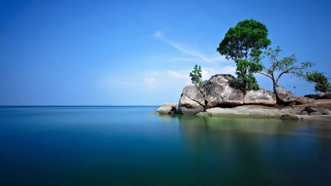 探寻生肖之海的澎湃力量，四海涌涛下的生肖探索