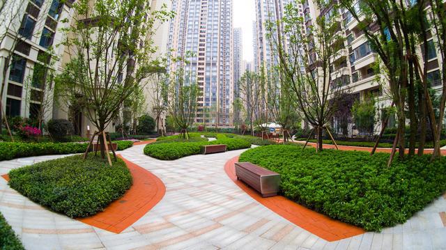 龙湖三千星座公寓，城市新星璀璨闪耀