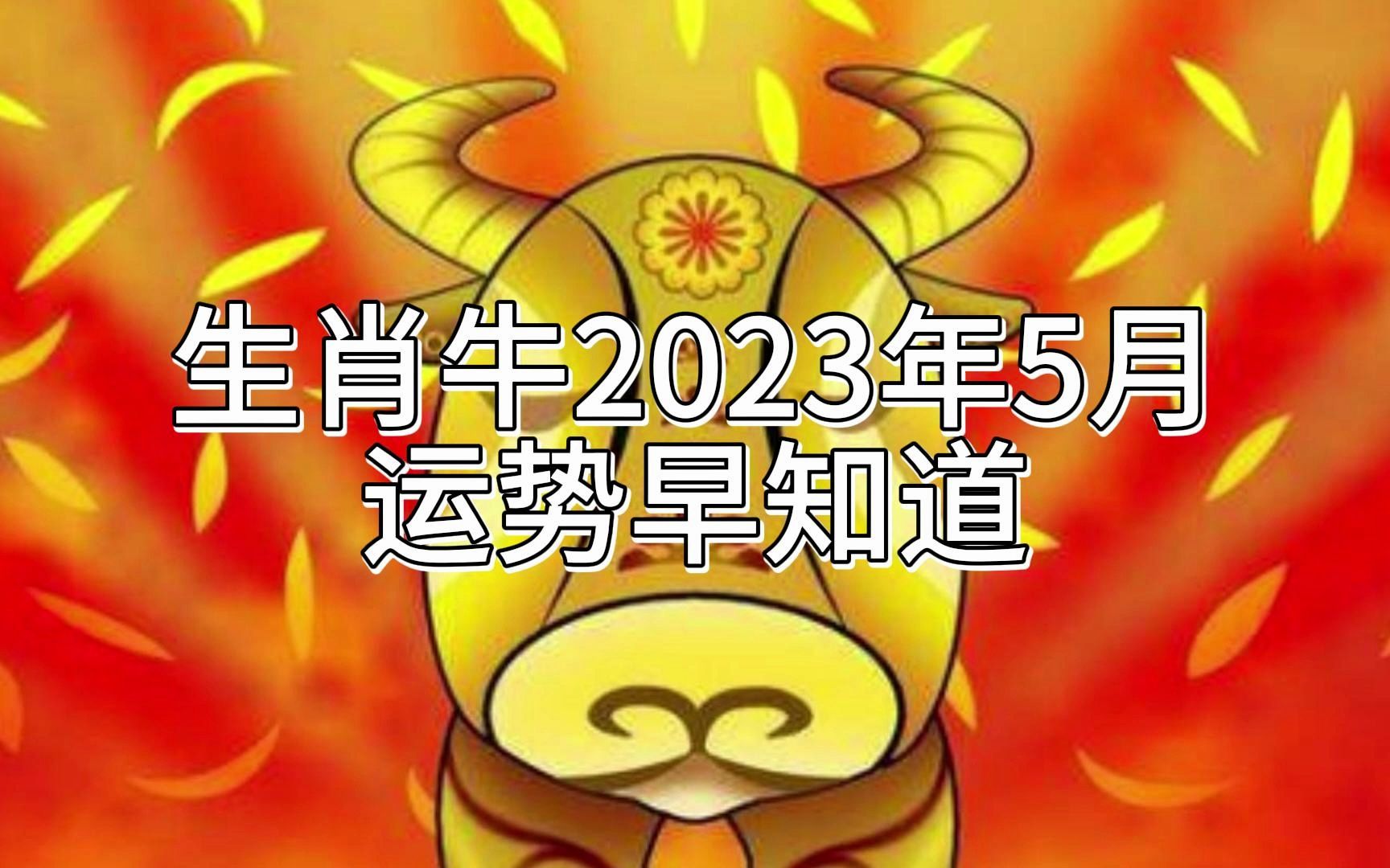 生肖牛在2023年的运势展望，牛年运势大揭秘