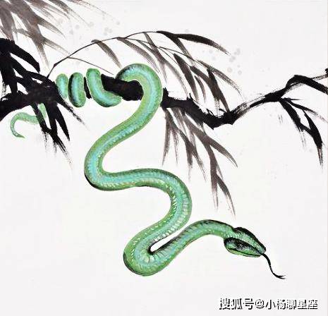 小蛇新生，揭秘生肖蛇的魅力与新生之路，解读生肖运势预测新篇章