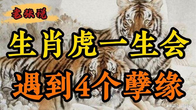 探寻勇猛之士，咆哮呼啸的生肖揭秘