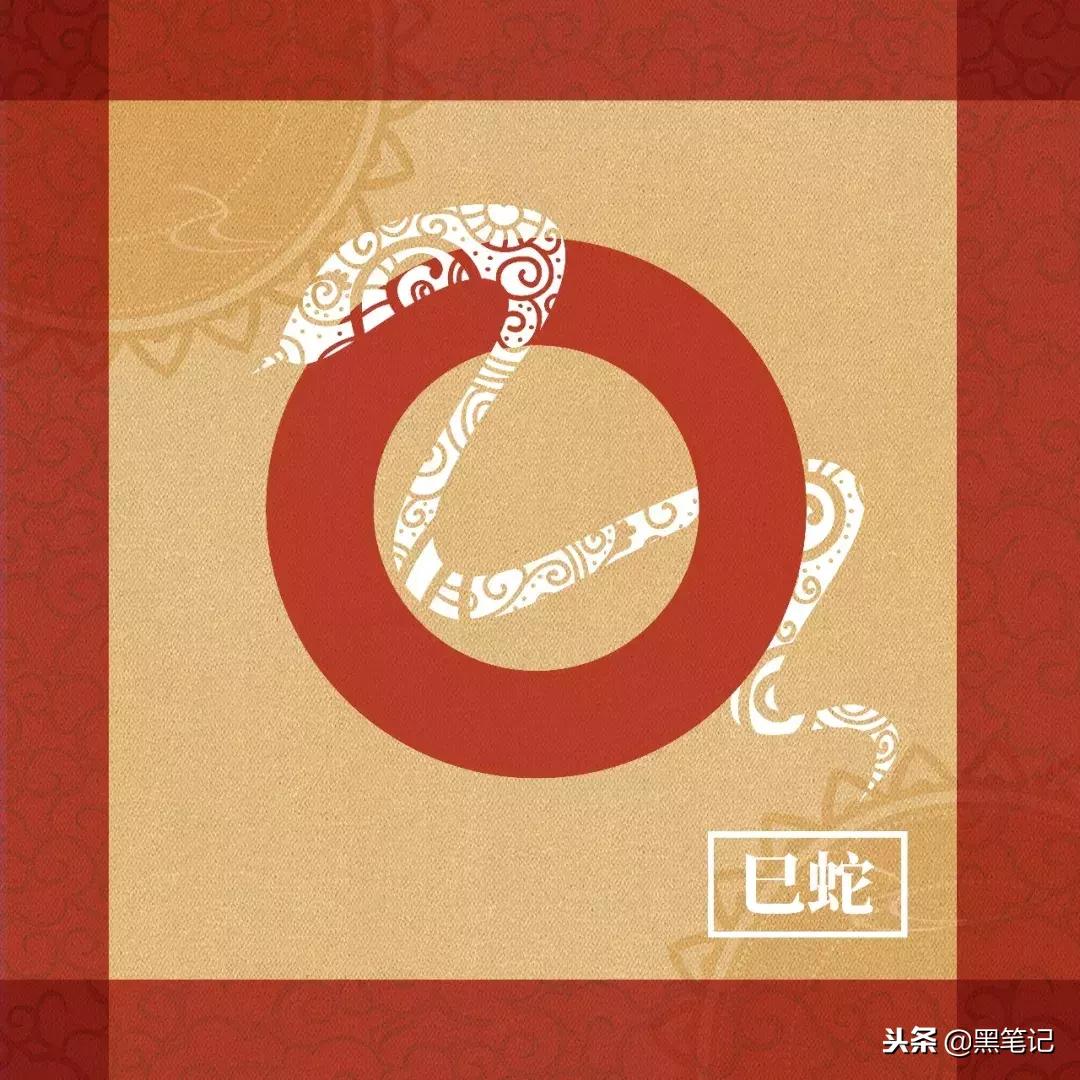 踏雪寻梅与生肖之谜，揭秘踏雪寻梅代表的生肖秘密