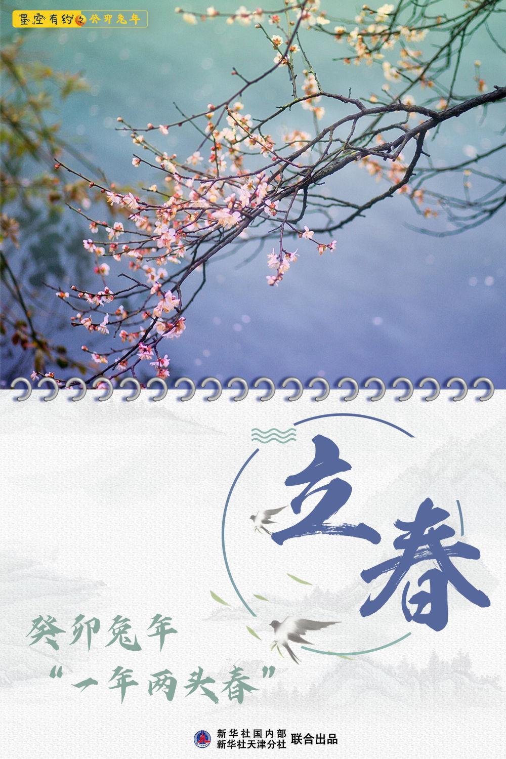 兔年运势揭秘，洞悉您在2024年的生肖运势走向