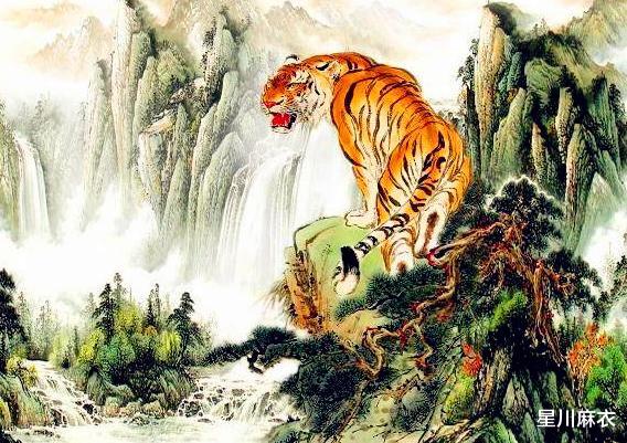揭秘生肖奥秘，为何生肖如此吸引人？探寻生肖的吸引力之源
