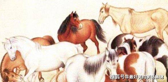 起早贪黑代表的生肖，勤奋与努力的象征