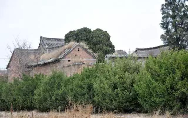 属羊生辰八字与命运解析