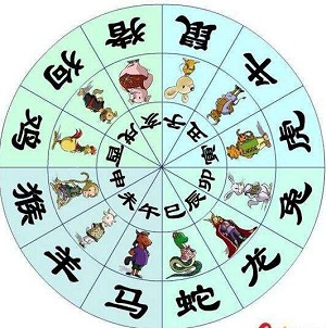 十二生肖风水鱼，神秘符号与家居装饰的和谐融合之道