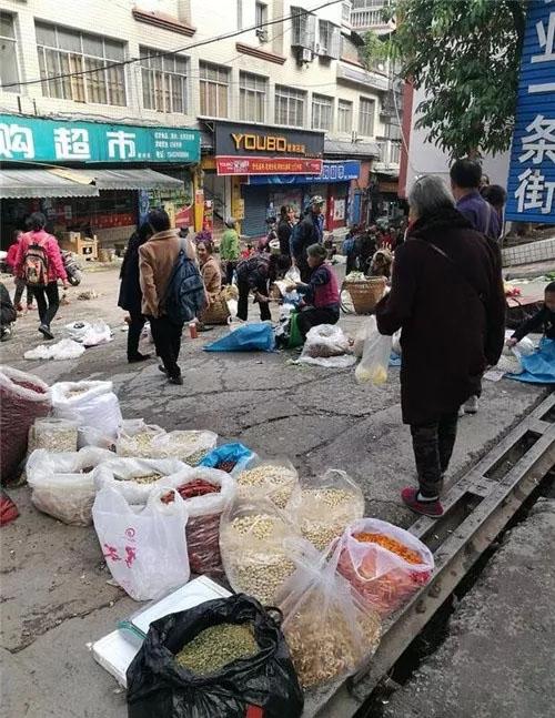 明天生肖运势大揭秘，探寻生肖运势秘密