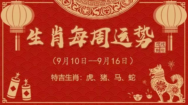 生肖运势详解，每周生肖运势预测与解析