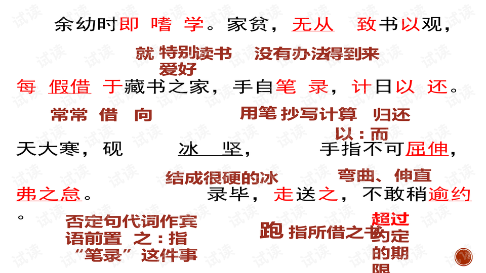 九九重阳与生肖的奥秘揭秘，九九重阳究竟代表哪个生肖？
