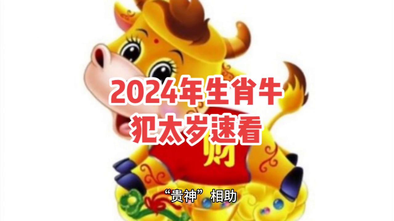 生肖运势2024，洞悉未来一年运势起伏的指南