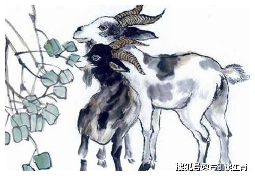 一年顺景四方看生肖，探寻生肖文化的魅力与变迁历程