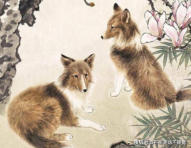 龙狗相冲生肖运势深度解析与预测，揭秘生肖运势之谜