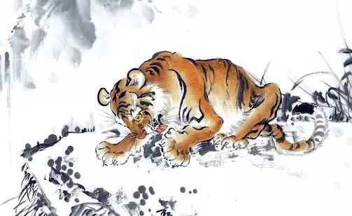 山森探秘，揭秘生肖之谜的森林秘境生肖揭晓