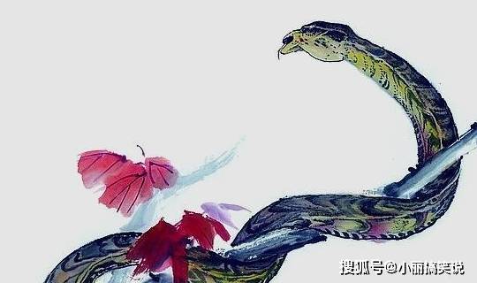 揭秘生肖中的智慧之星，聪明绝顶又玲珑的生肖是谁？