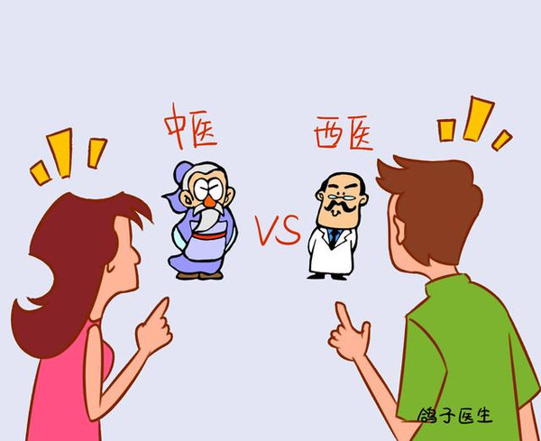 深度解读与探索，俗不可医的生肖之谜