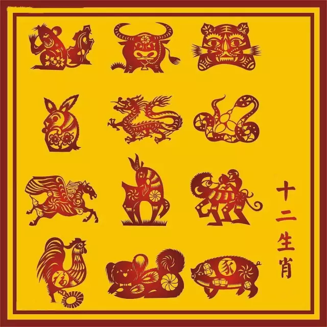 揭秘身怀绝技的生肖传奇，揭秘神秘生肖的身份